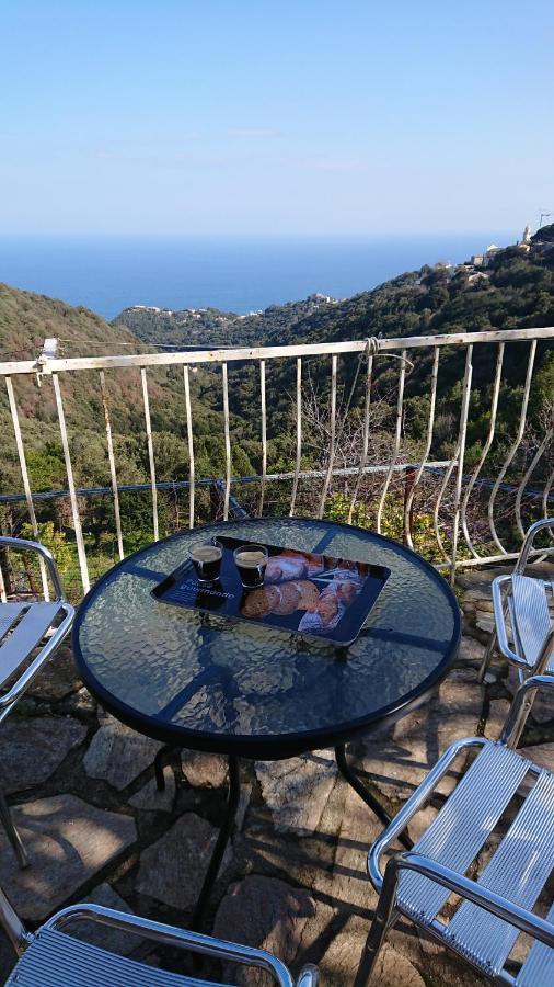 Apartamento A Tana Di A Volpe Ville-di-Pietrabugno Exterior foto