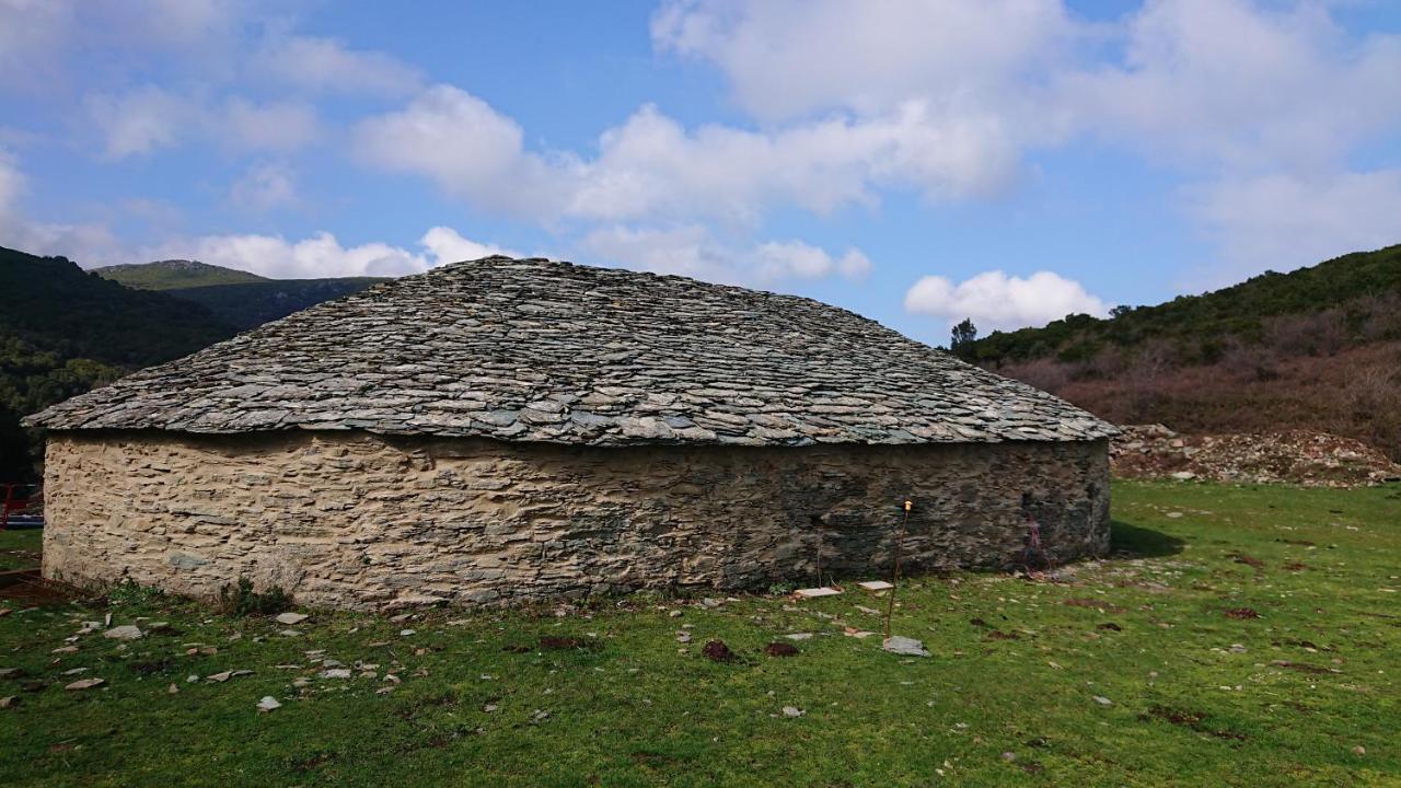 Apartamento A Tana Di A Volpe Ville-di-Pietrabugno Exterior foto