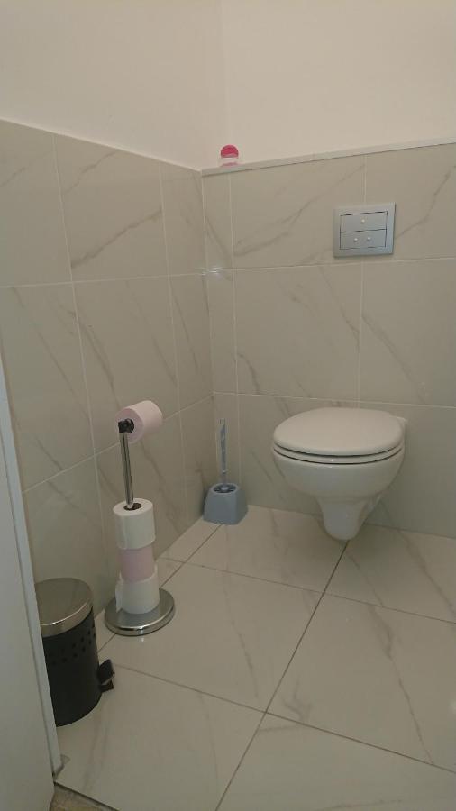 Apartamento A Tana Di A Volpe Ville-di-Pietrabugno Exterior foto